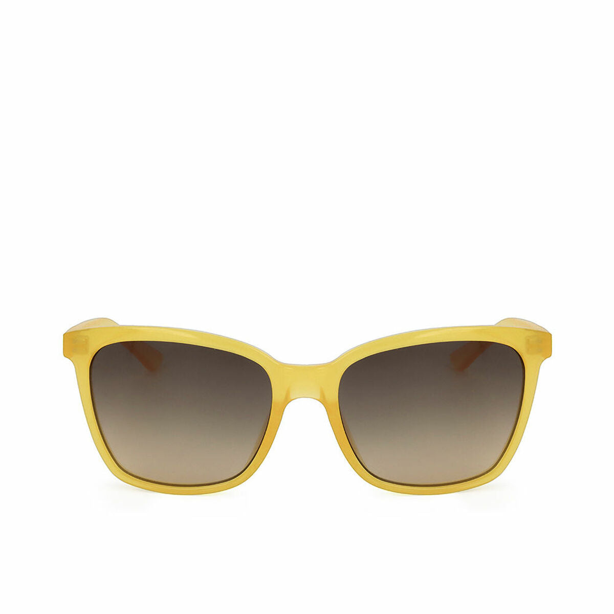 Gafas de Sol Mujer Smith Smith N