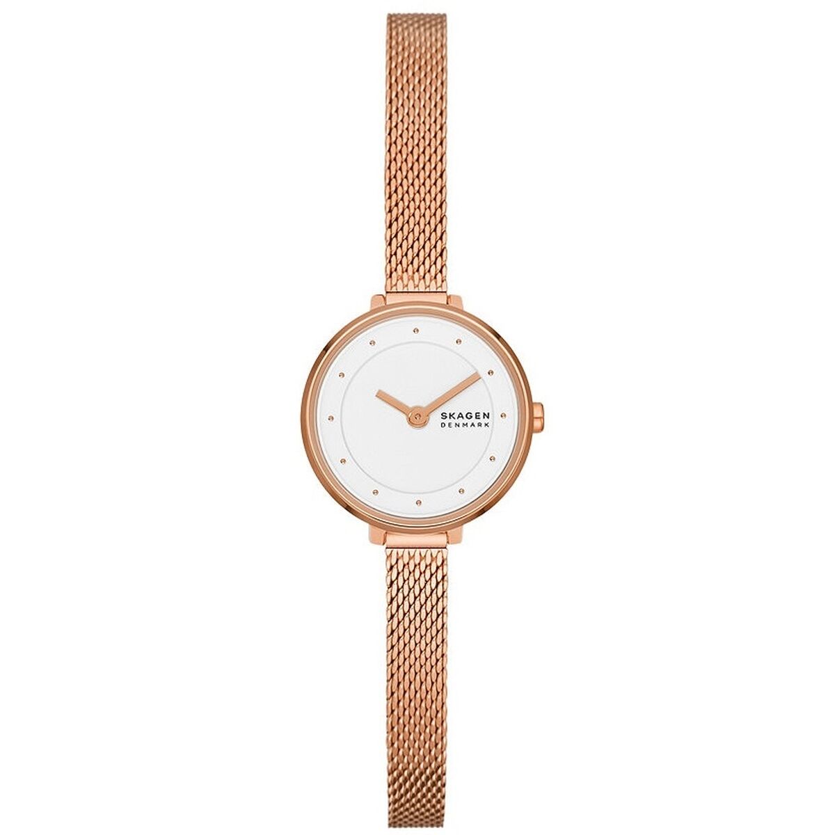 Reloj Mujer Skagen GITTE LILLE (Ø 22 mm)