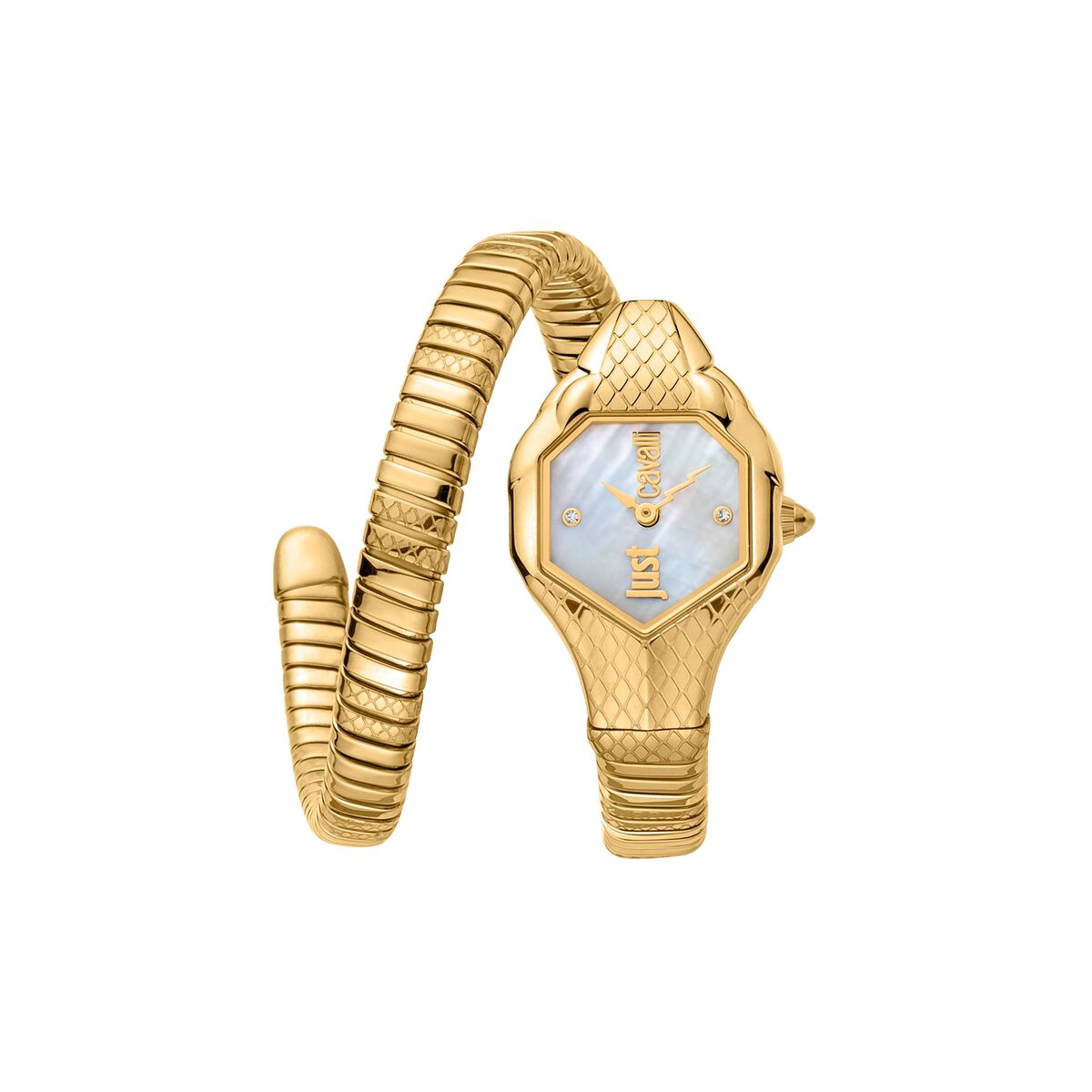 Reloj Mujer Just Cavalli JC1L190M0035