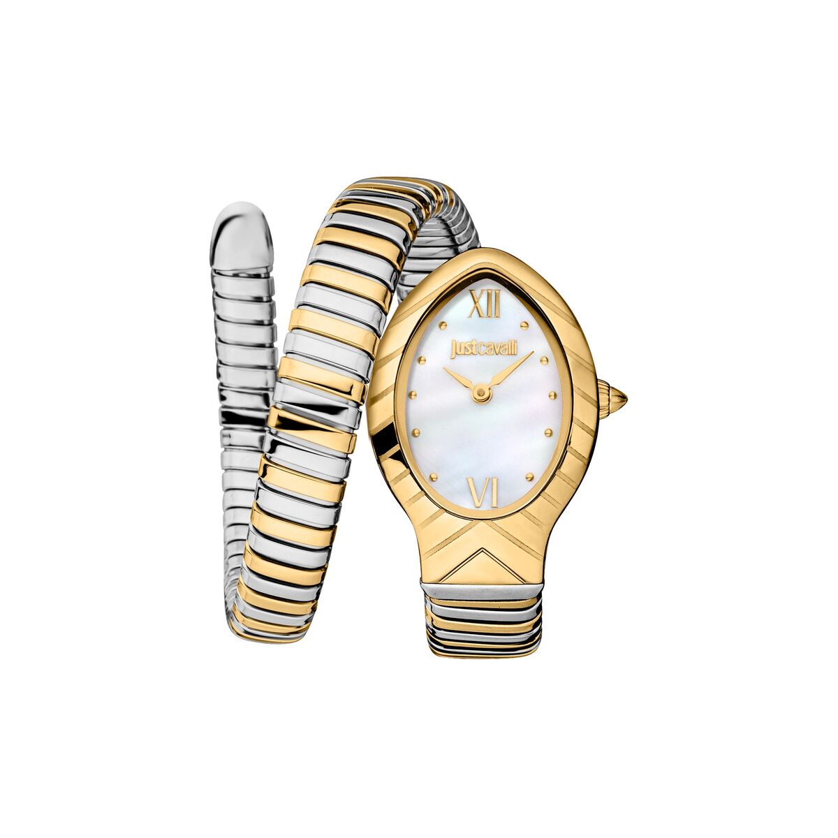 Reloj Mujer Just Cavalli JC1L247M0055