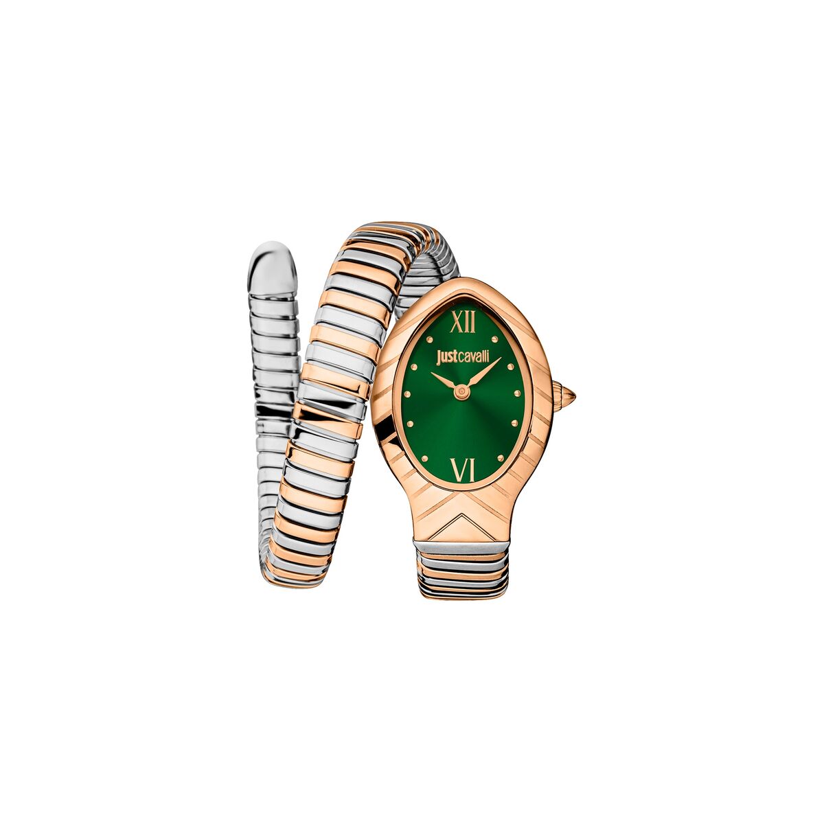 Reloj Mujer Just Cavalli JC1L247M0075