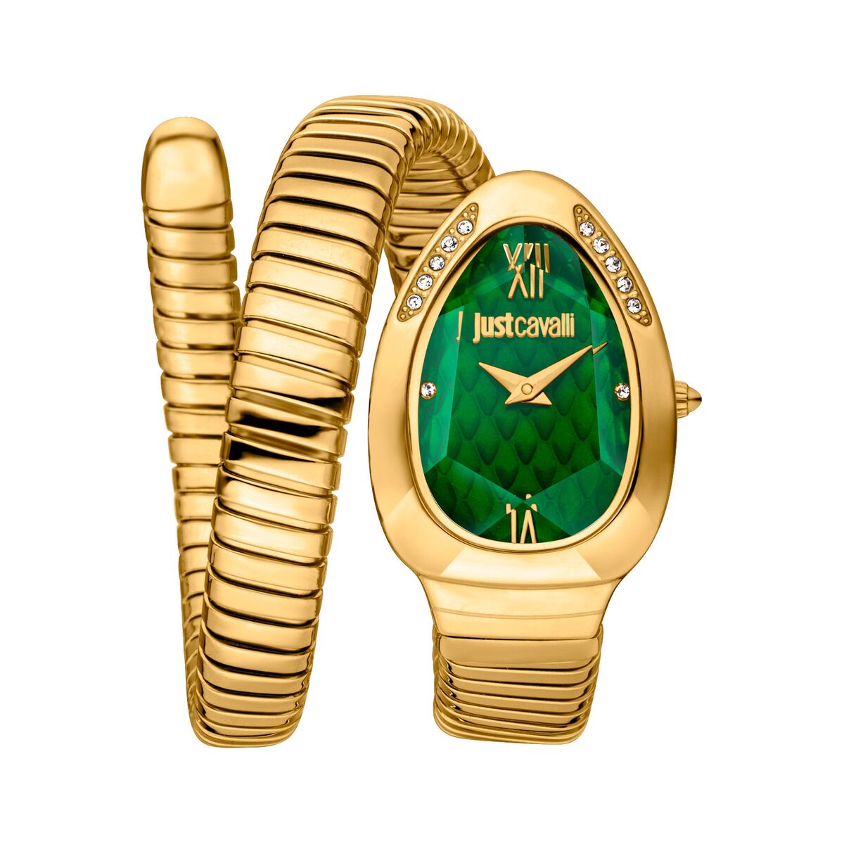 Reloj Mujer Just Cavalli JC1L223M0035