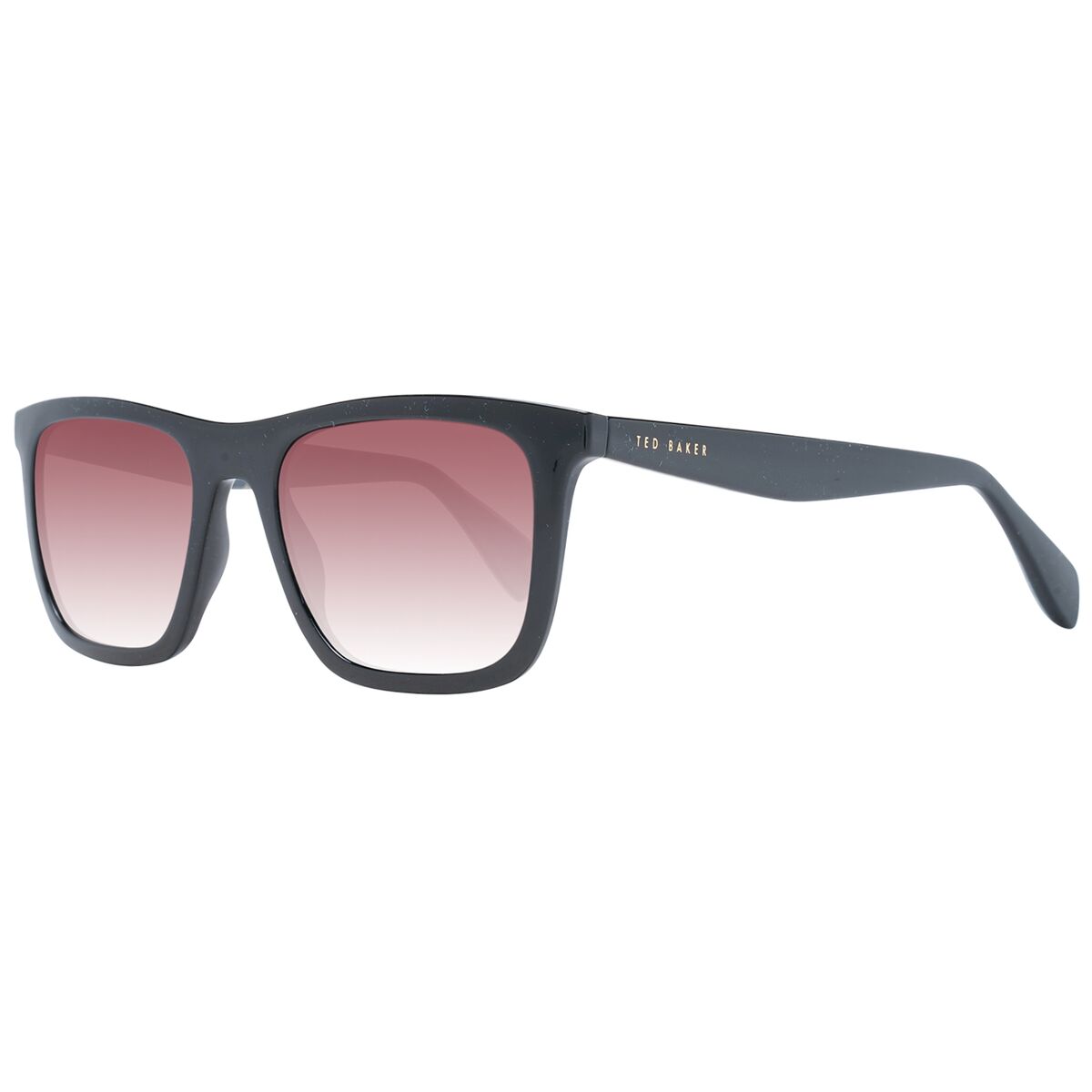 Gafas de Sol Hombre Ted Baker TB1680 54001