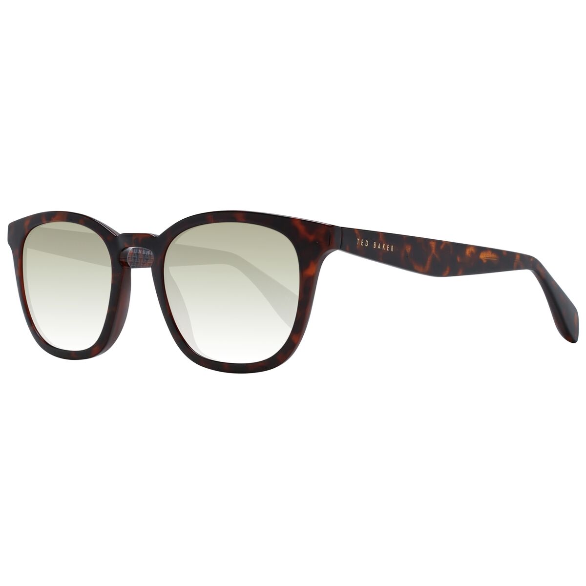 Gafas de Sol Hombre Ted Baker TB1683 50110