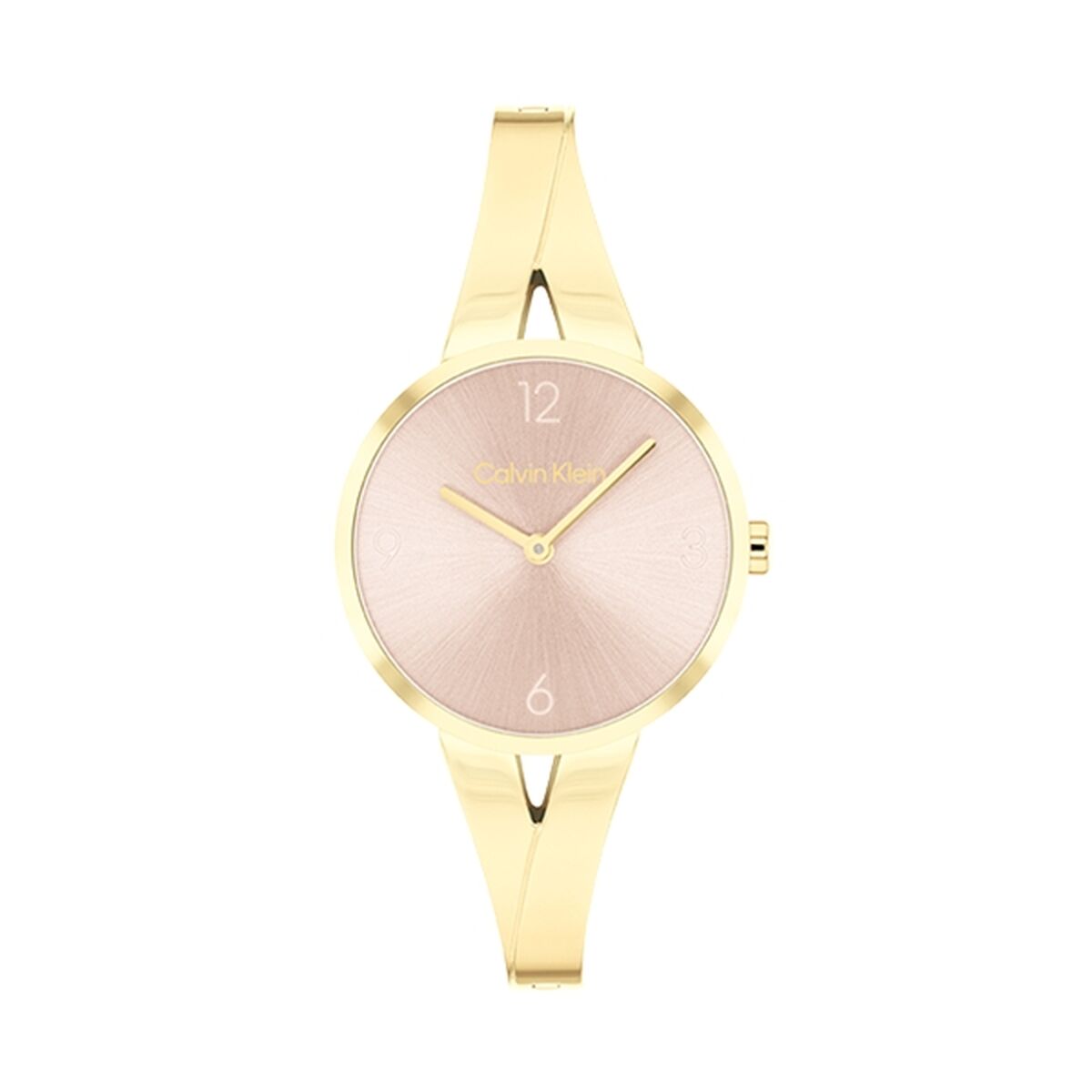 Reloj Mujer Calvin Klein 25100027