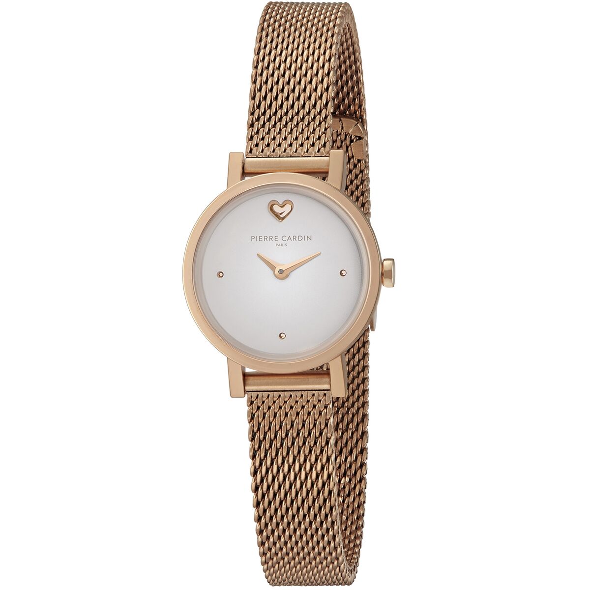 Reloj Mujer Pierre Cardin CCM-0519-VA