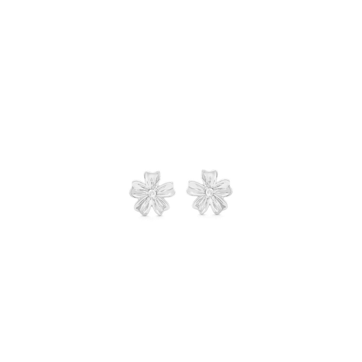 Pendientes Mujer Secrecy E8641CDAWA900 Plata de ley 2 cm