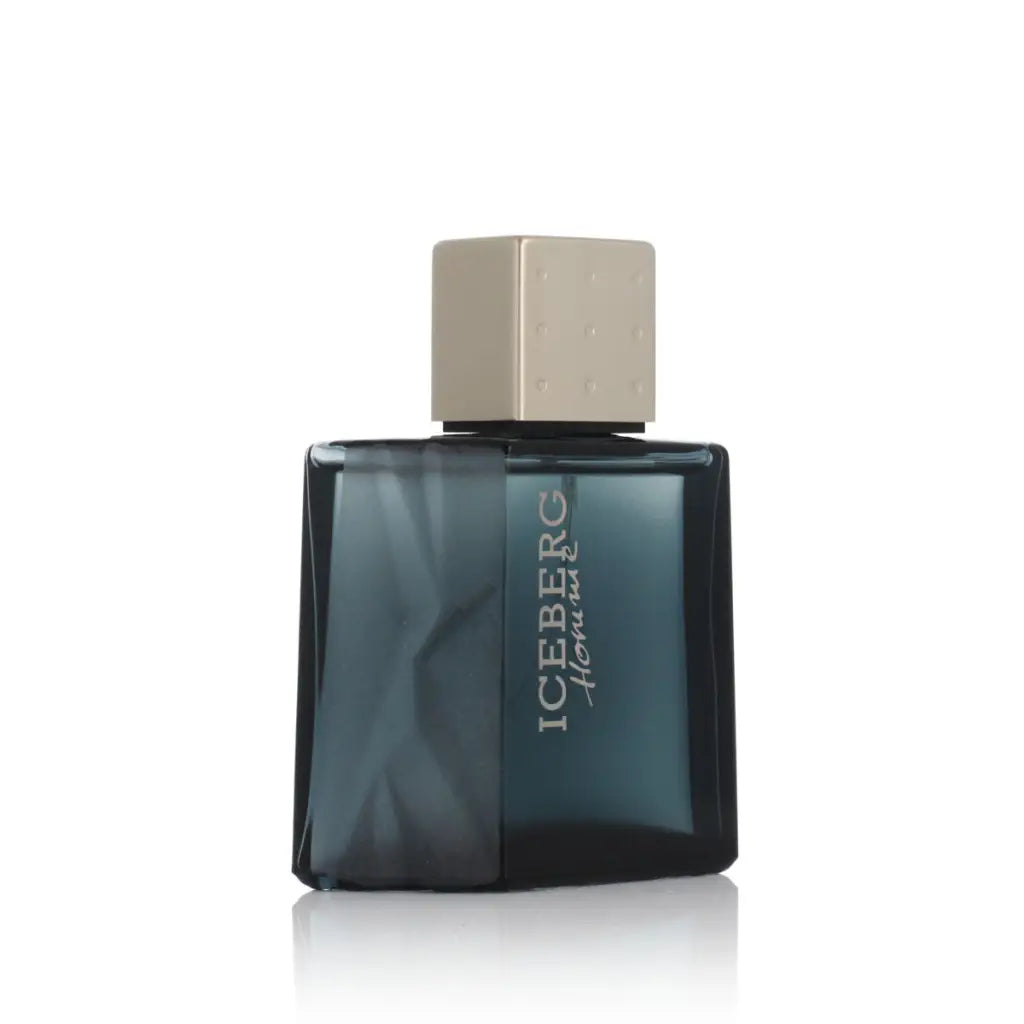 Perfume Hombre Iceberg EDT Homme 50 ml - Belleza Perfumes